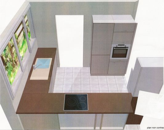 idée cuisine 8m2 ouverte